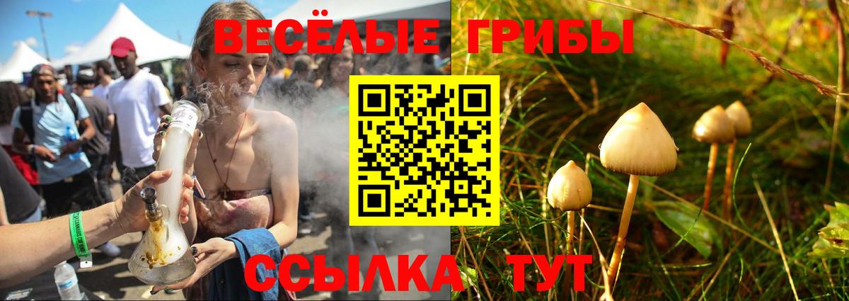 Касимов  Псилоцибиновые грибы MAGIC MUSHROOMS  магазин  наркотиков  Галлюциногенные грибы прущие грибы  Вход с VPN 